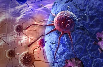 Xərçəngin dərmanı görün hansı heyvanda imiş