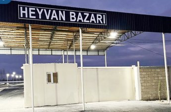 В Барде возобновил работу рынок скота-ФОТО