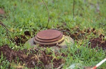 Польша впервые со времен холодной войны начинает производство противопехотных мин