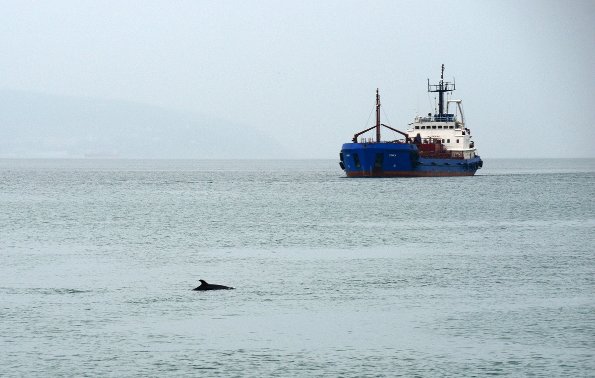 Avropa İttifaqı 41 tankeri Rusiya əleyhinə sanksiyalar siyahısına daxil edib