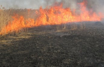 Əkin yerinin yandırılmasına görə yeni cərimələr