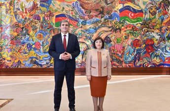 Sahibə Qafarova Ervin İbrahimoviçlə görüşdü - FOTO