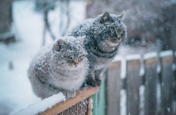В Азербайджане наступила зима