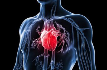 Ürək xəstəliklərinə qarşı yeni müdafiə mexanizmi aşkarlandı