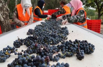 Bu məhsulun Cindən Rusiyaya tədarükü rekord həddə çatdı