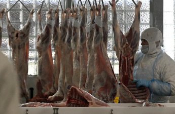 Азербайджан существенно увеличил закупку баранины