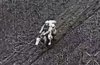 Украинские дроны поразили российских военных на лошадях-ВИДЕО