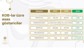 Azərbaycanın KOB sektoru üzrə artım dinamikası davam edir