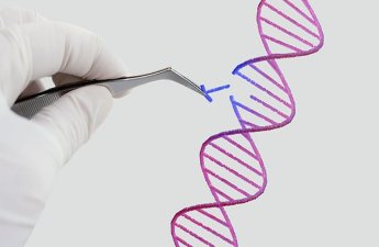 İnsanın klonu patent obyekt kimi qəbul edilməyəcək