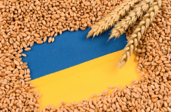 Moldova Ukraynadan taxıl idxalına qoyulan məhdudiyyəti aradan qaldıracaq