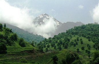 Qafqaz sakinlərində qeyri-adi genlər TAPILDI