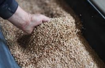 Армения еще на полгода продлит ограничение на вывоз зерновых