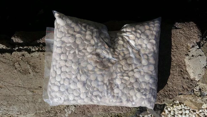 Метамфетамин в желудках животных: турецкие власти раскрыли изощренную схему наркотрафика