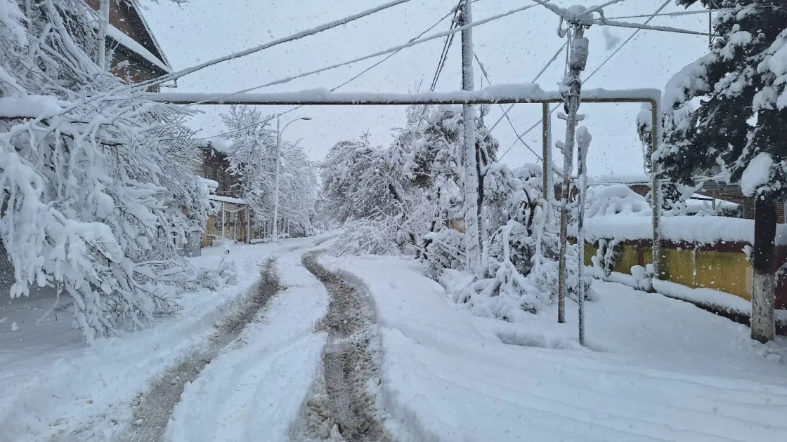 Güclü qar yağacaq, 10 dərəcə şaxta olacaq - Sabahın HAVASI