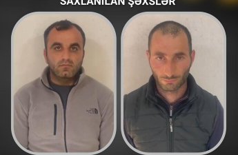 Ağsuda mal-qara oğruları saxlanıldı - FOTO