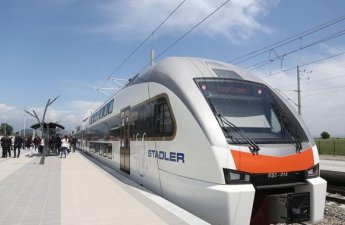 Sahibsiz heyvanlar səbəbindən dəmir yollarında 54 hadisə baş verib - FOTO