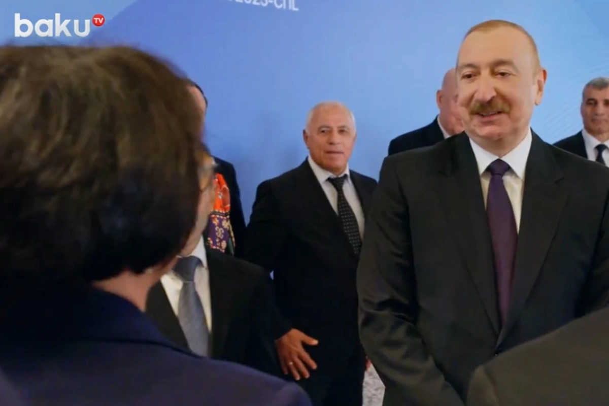 Azərbaycan Prezidenti olimpiya çempionu Zemfira Meftahətdinova ilə görüşdü - VİDEO