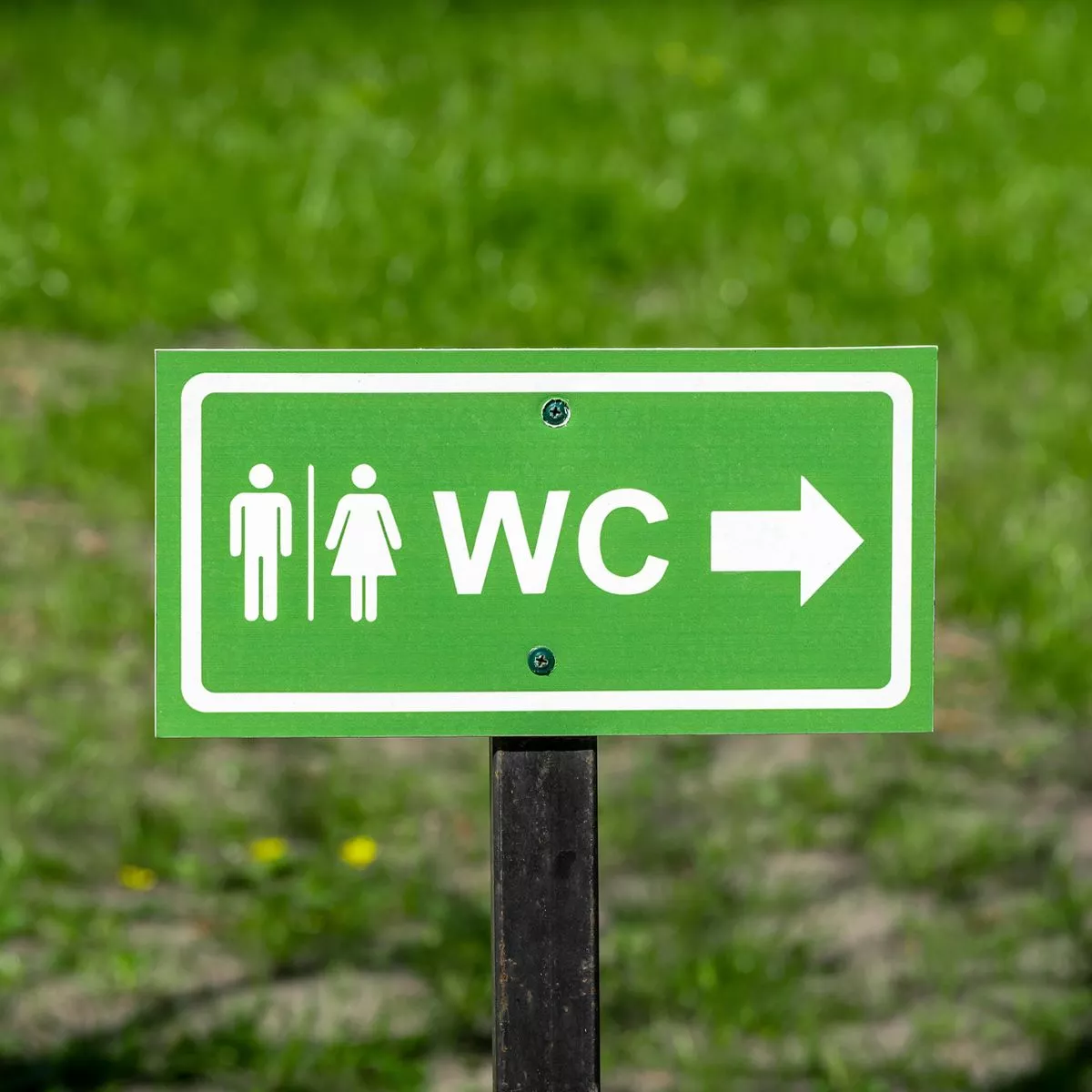 Tualetə əsla telefonla girməyin! -bu zərərləri var