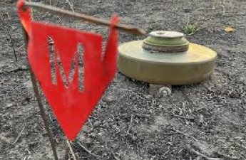 Литва вышла из Оттавской конвенции о запрете противопехотных мин