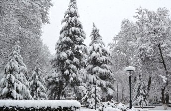 Bəzi ərazilərdə 12 dərəcəyədək şaxta qeydə alınıb - FAKTİKİ HAVA