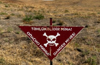 В Азербайджане создается правовая основа для использования животных при разминировании