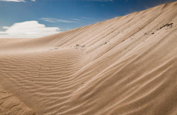 Səhralar yaşıllaşacaq: Çinli alimlərdən inqilabi metod