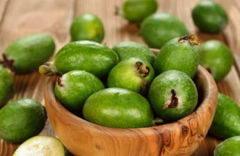 Yodla zəngin feyxoa möcüzəsi - Zobun, prostatın dərmandır