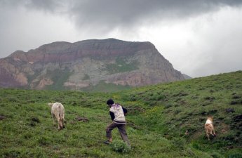 Mingəçevirdə çoban quyuya düşdü