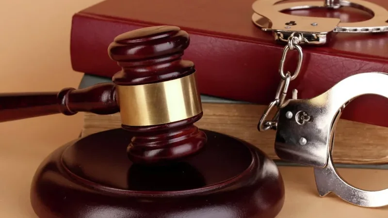 Yolka şənliyinə tamaşa etməyə gələn şəxs məsuliyyətə cəlb edildi – TƏFƏRRÜAT