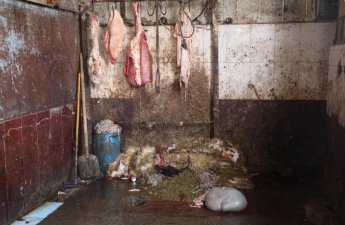 Maştağada “Xəyal” bazarında nöqsanlar aşkarlandı - VİDEO