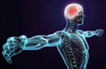 İnsan bədənində hansı 