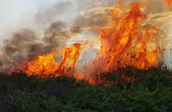 Cəbrayıl ərazisində başlayan yanğın sərhəd boyunca yayıldı