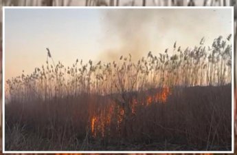 Cəbrayılda yanğın törədən şəxs saxlanıldı