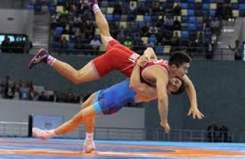 В чемпионате Азербайджане завершились соревнования по греко-римской борьбе