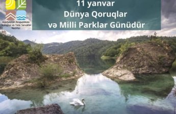Bu gün Dünya Qoruqlar və Milli Parklar Günüdür