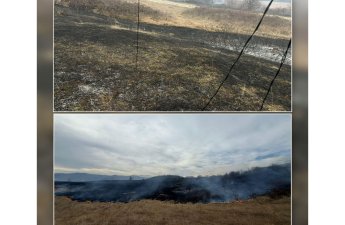 Xocalıda yanğına səbəb olan şəxs saxlanılıb