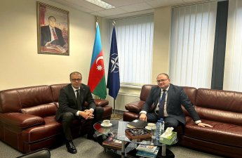 Azərbaycan və Gürcüstanın NATO-dakı nümayəndələri əməkdaşlığı müzakirə edib