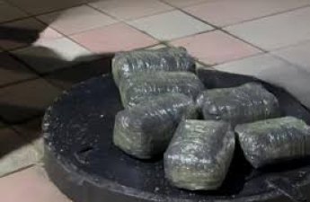 В Товузе обнаружено более 6 кг наркотиков