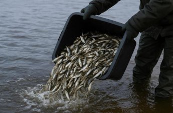 Balıq və digər su bioresurslarının ovu üçün kvota bölgüsü təsdiqləndi