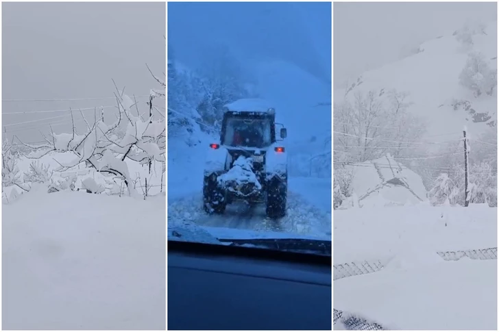 Сильный снегопад оставил без электроэнергии десятки сел в Лерикском районе