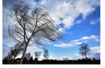 Синоптики предупредили об усилении ветра в Азербайджане