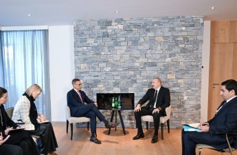 İlham Əliyev finlandiyalı həmkarı ilə görüşdü - FOTO