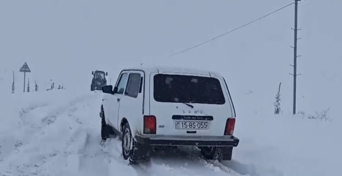 Снегопад вызвал серьезные последствия в Джалилабаде: более 50 сел остались без электричества