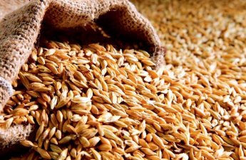 Российская пшеница теряет китайский рынок