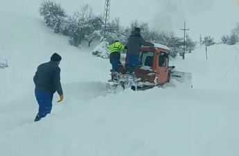 Güclü qar cənubda fəsadlar törətdi - “Azərişıq” fasiləsiz işləyir+Video