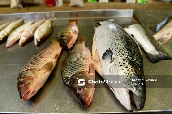В Азербайджане отменяют требование о смене категории земель для аквакультурных хозяйств