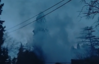 Gəncədə parkda yanğın baş verdi - VİDEO