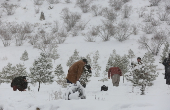 ABŞ-də qar fırtınasına görə 230 mindən çox ev işıqsız qalıb
