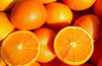 Azərbaycanda rənglənmiş portağallar satılır? - AQTA rəsmisindən CAVAB