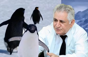 Zooloq məşhur “nihilist pinqvin”dən danışdı: “Bunu o vaxt müşahidə edə bilirsən ki...” - FOTO+ÖZƏL